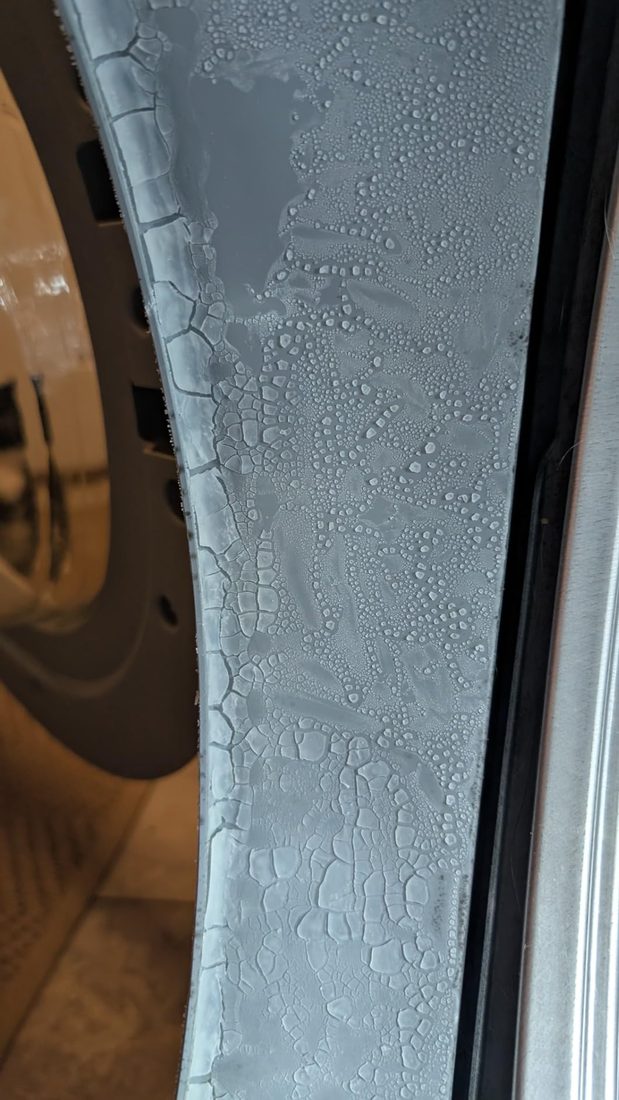 The gel dried into a cracked film on the gasket, sitting on top of where the mold used to be
